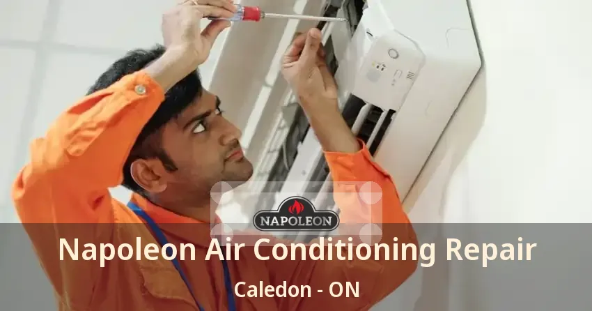Napoleon Air Conditioning Repair Caledon - ON
