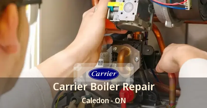 Carrier Boiler Repair Caledon - ON