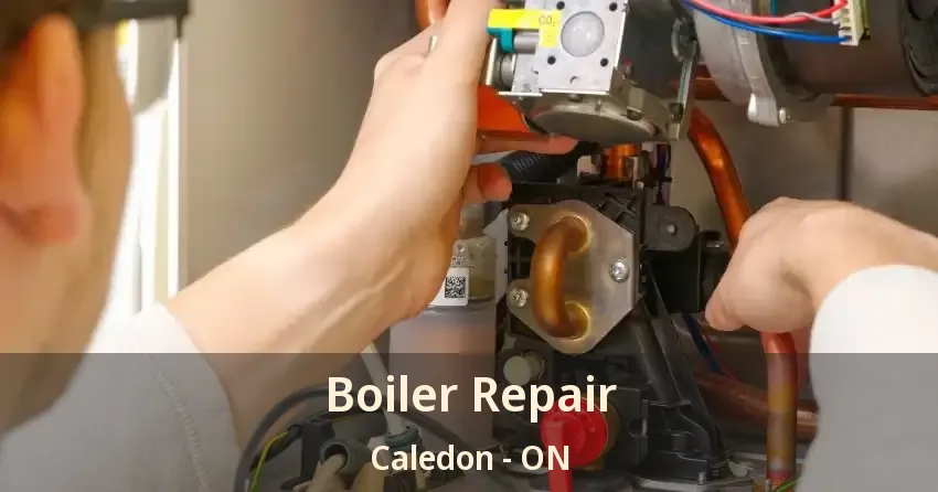 Boiler Repair Caledon - ON