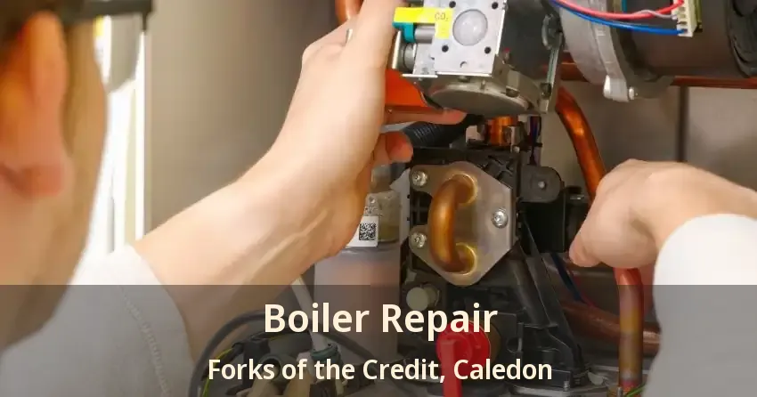 Boiler Repair Forks of the Credit, Caledon - ON