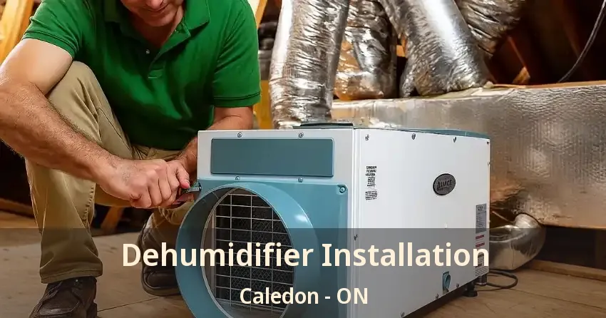 Dehumidifier Installation Caledon - ON