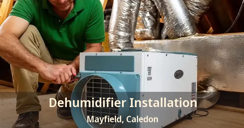 Dehumidifier Installation Mayfield, Caledon - ON