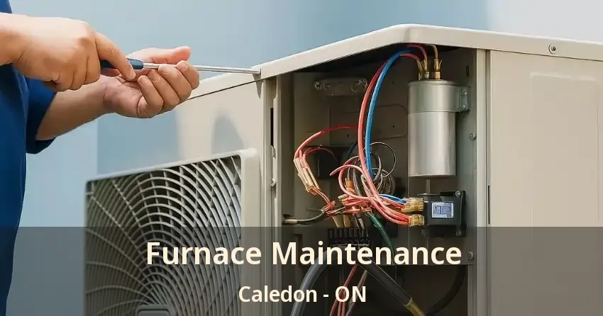 Furnace Maintenance Caledon - ON
