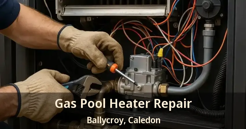 Gas Pool Heater Repair Ballycroy, Caledon - ON
