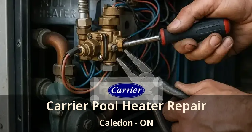 Carrier Pool Heater Repair Caledon - ON