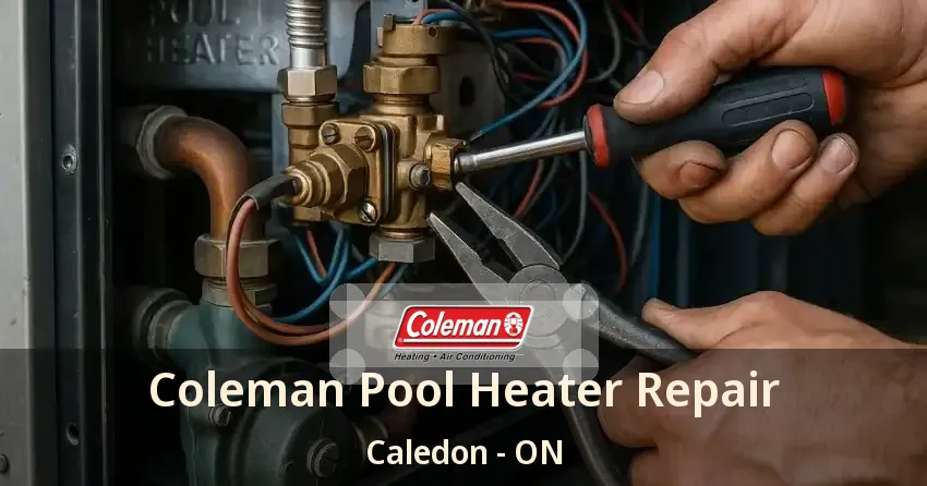 Coleman Pool Heater Repair Caledon - ON