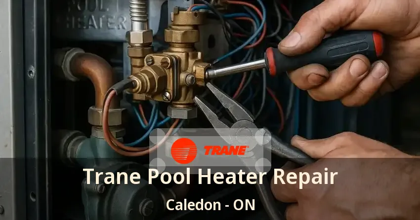Trane Pool Heater Repair Caledon - ON
